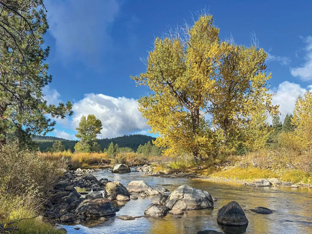 Truckee Donner Land Trust